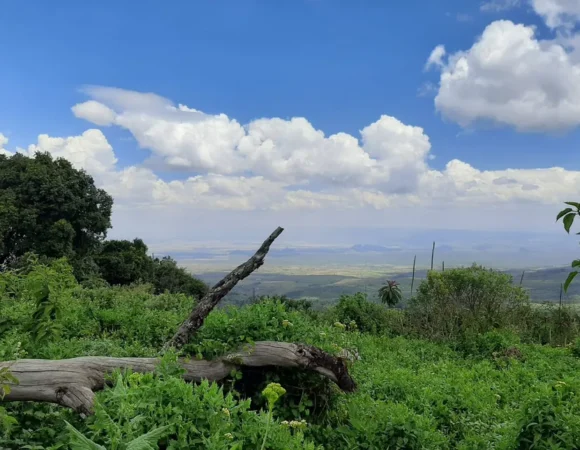 Mau Eburu Forest Trip